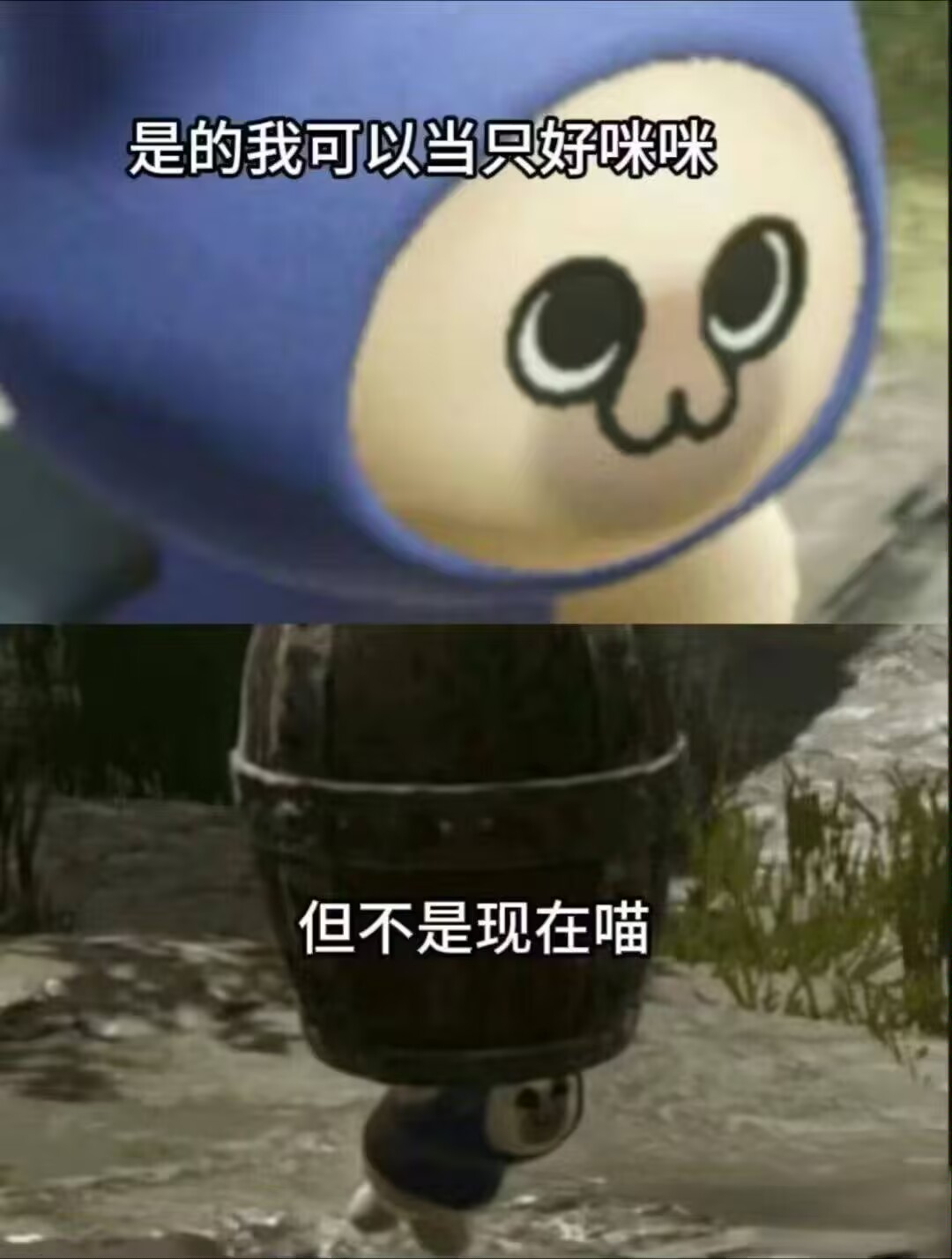 老大我是好喵
