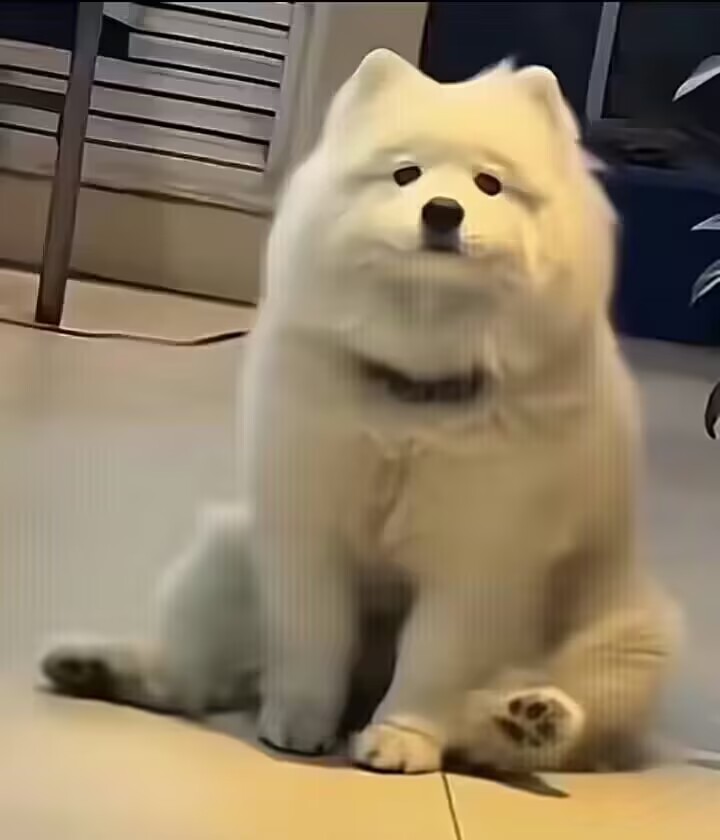 耶耶不开心