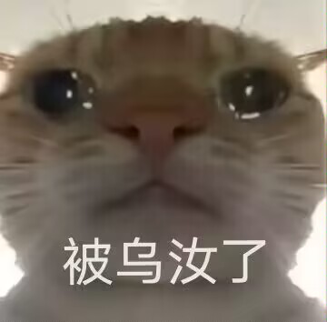 被乌汝了
